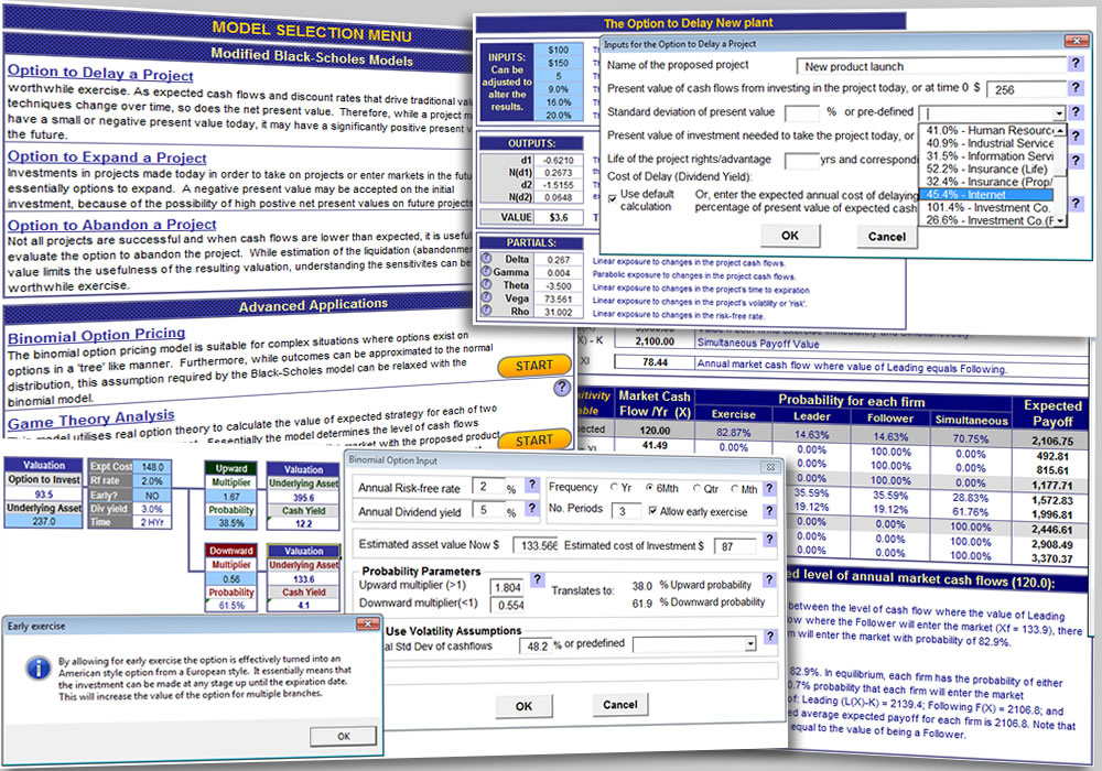 Real Option Valuation - Real Option Valuation template