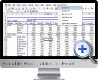 Editable Pivot Tables screenshot