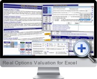 Real Options Valuation screenshot