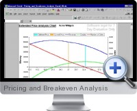 Pricing and Breakeven Analysis screenshot