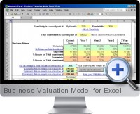 Business Valuation Model screenshot